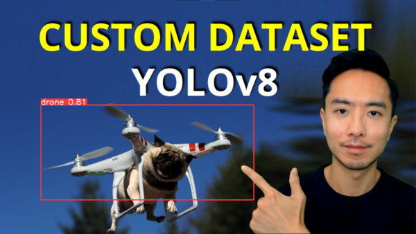 YOLOv8 Custom Dataset Training and Detection